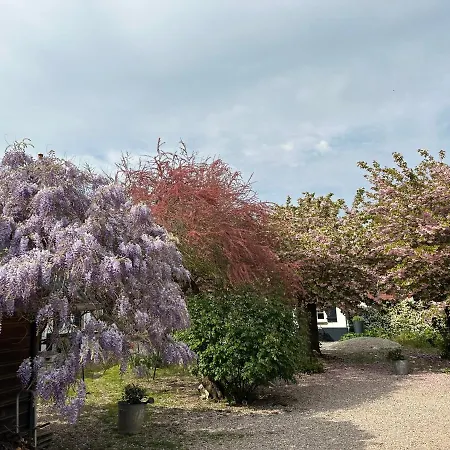 Bed & Breakfast Au Presbytere De Saigneville