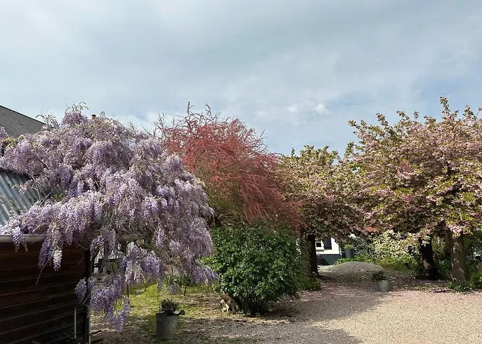 Couette-café Au Presbytère De Saigneville